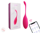 PulsePlay - Vibrating Panty Toy